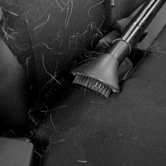 Interior Hair Removal - Sedan